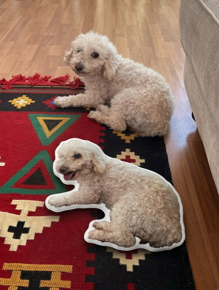 Peluche personalizado de mascota