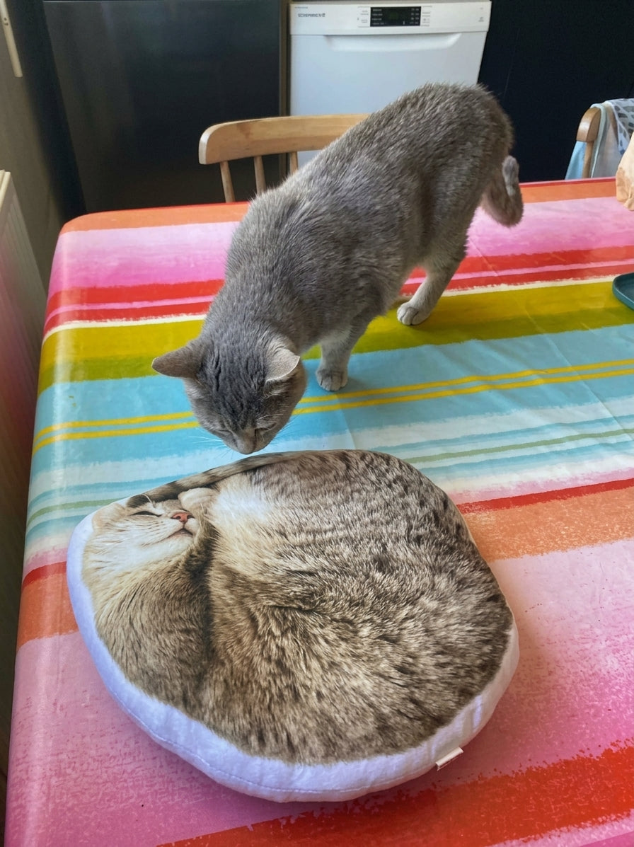 Peluche personalizado de mascota